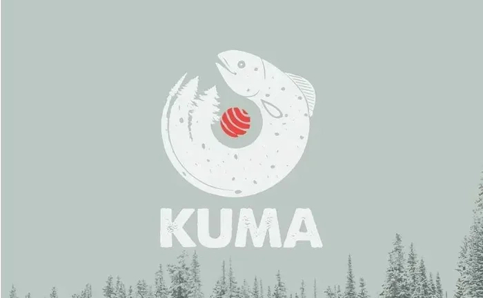 Розробка логотипів | логотип за кілька днів | дизайнер