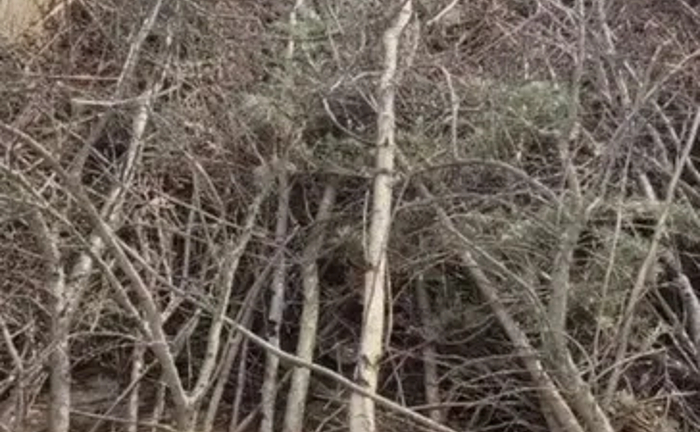 Вивіз сміття від 400грн, грузчики Вивіз сміття від 400грн, грузчики