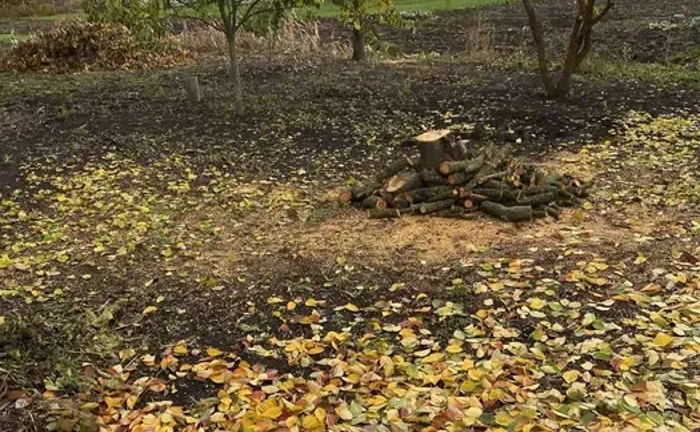 Покос трави, прибирання участків