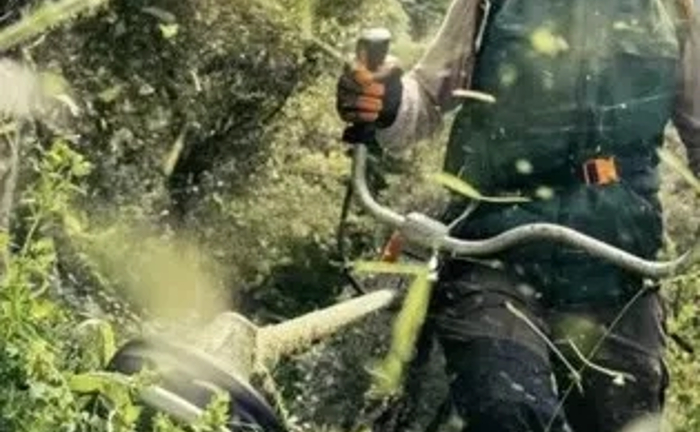 Покос трави, чагарників, зрізання дерев. Розчищення ділянки.