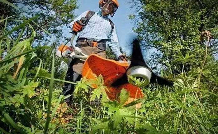 Покос трави, спил дерев , корчування пенька , прибирання ділянки Покос трави, спил дерев , корчування пенька , прибирання ділянки