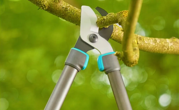 Сучкоріз - інструмент для вашого саду. Сучкоріз - інструмент для вашого саду.