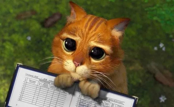 Навчальний супровід для студентів та школярів. Допомога під час сесії.