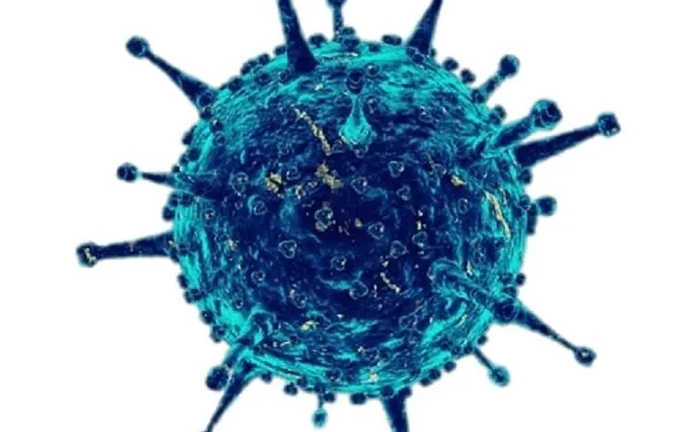 Дезінфекція (знищення вірусів і мікробів) Прибирання 3-кімнатної квартири Дезінфекція (знищення вірусів і мікробів) Прибирання 3-кімнатної квартири