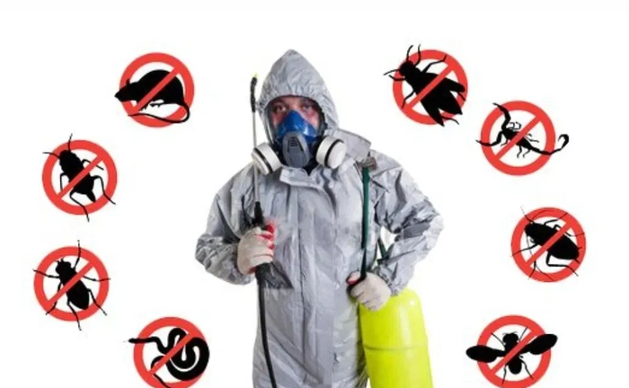 Знищюємо шкідників ефективно та швидко. Таргани, клопи, миші та інші..