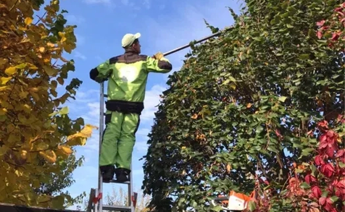 Послуги садівника обрізка дерев Газон Озеленення території