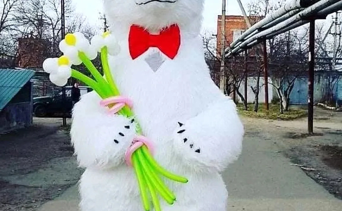 Білий ведмідь Хмельницький ляльковий стриптиз замовити аніматора.