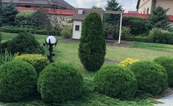 Послуги садівника , ландшафтний дизайн, озелененя . Послуги садівника , ландшафтний дизайн, озелененя .