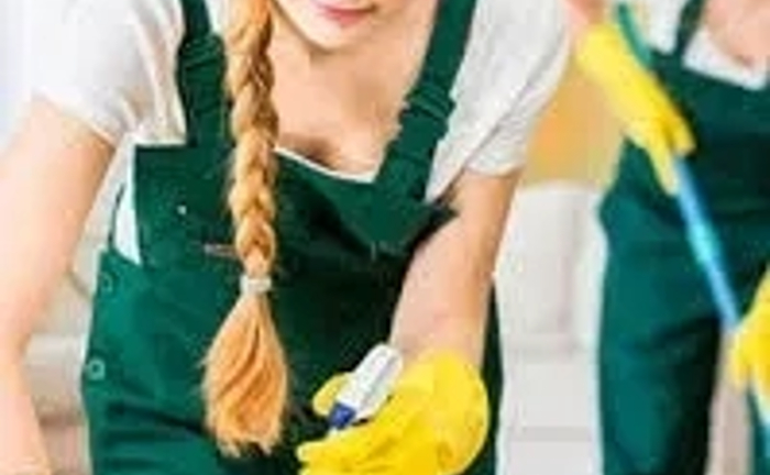 Клінінг/Прибирання квартир/Миття вікон