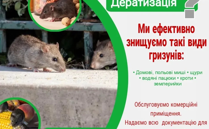 Ефективне знищеня та контроль гризунів. Професійна Дератизація. Ефективне знищеня та контроль гризунів. Професійна Дератизація.