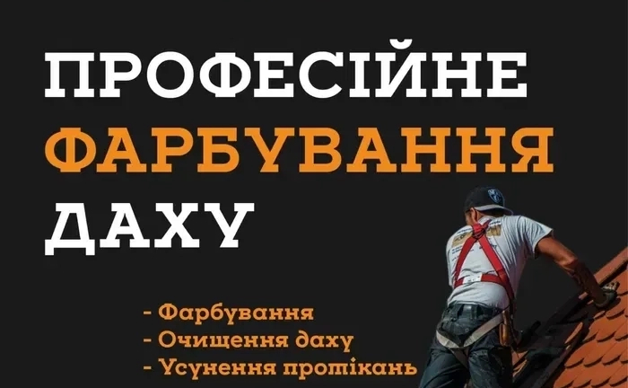Фарбування дахів Ужгород, Ужгородський район, Закарпаття. Миття дахів.