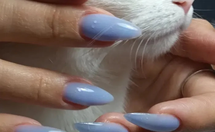 Професійний манікюр з використанням якісних матеріалів - Івано Франківськ.