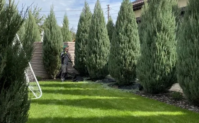 Садівник Ландшафт та озеленення Газон Обробка Посадка Садівник Ландшафт та озеленення Газон Обробка Посадка