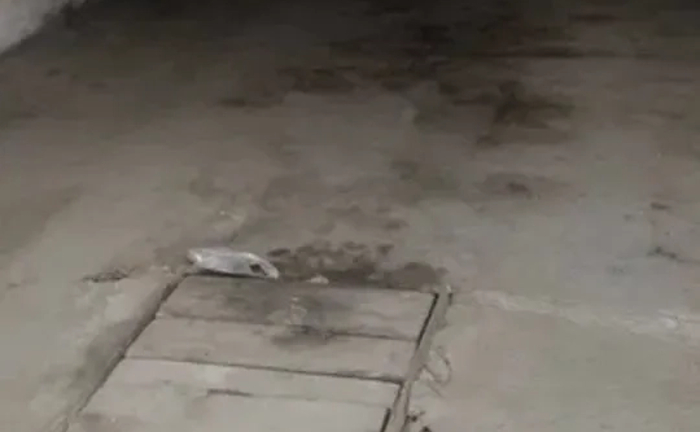 Залізний гараж — Кільце Косіора