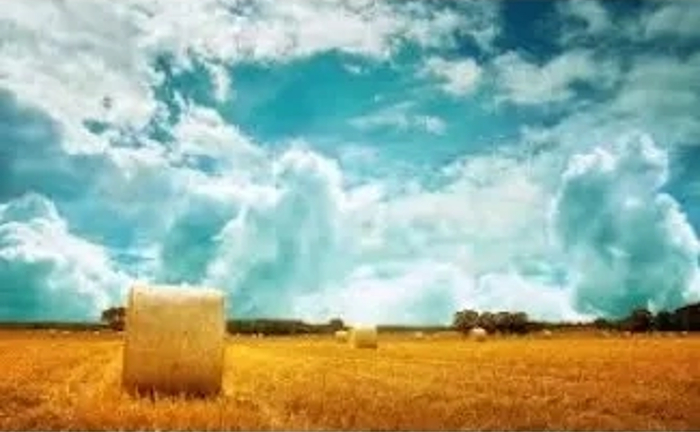 Прес-підбирач (тюкування сіна, соломи) Прес-підбирач (тюкування сіна, соломи)