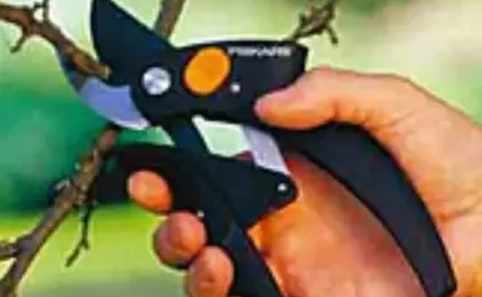 Догляд за садом Догляд за садом