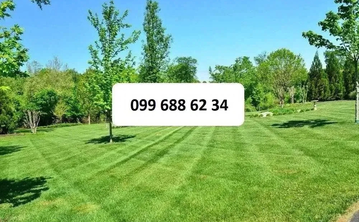 Рулонний газон, автополив, проект, монтаж, ландшафтний дизайн, садівник. Рулонний газон, автополив, проект, монтаж, ландшафтний дизайн, садівник.