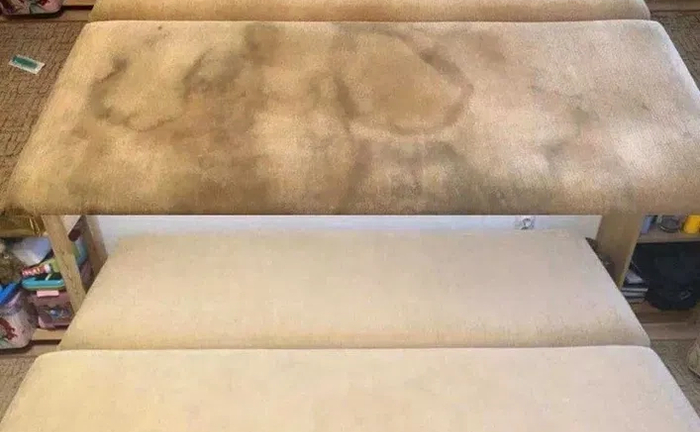 Хімчистка дивану матрацу стільців коврів