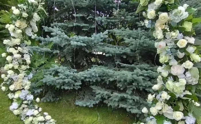 Весільна арка та ширма Весільна арка та ширма