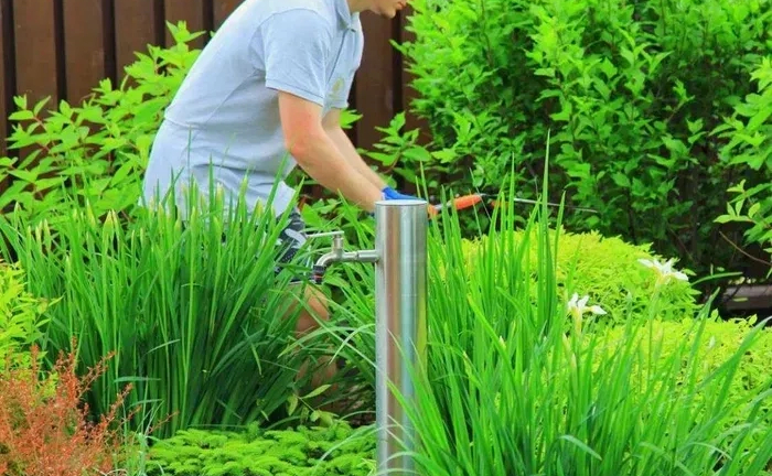 Обрізка плодових, стрижка рослин, обробка, ландшафтні послуги Обрізка плодових, стрижка рослин, обробка, ландшафтні послуги