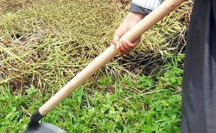 Сапа для прополювання та підгортання. Сапа для прополювання та підгортання.