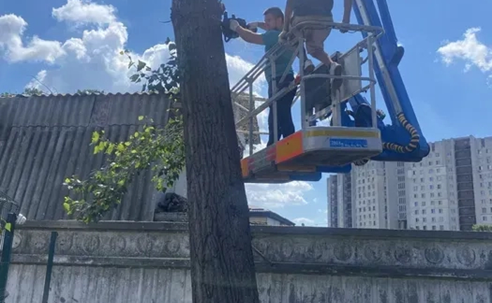 Обрізання дерев|Спилка дерев|Розчищищення ділянки|Викорчувування пнів! Обрізання дерев|Спилка дерев|Розчищищення ділянки|Викорчувування пнів!