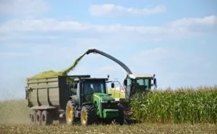 Збирання силосу, кукурудзи на силос комбайнами Ягуар