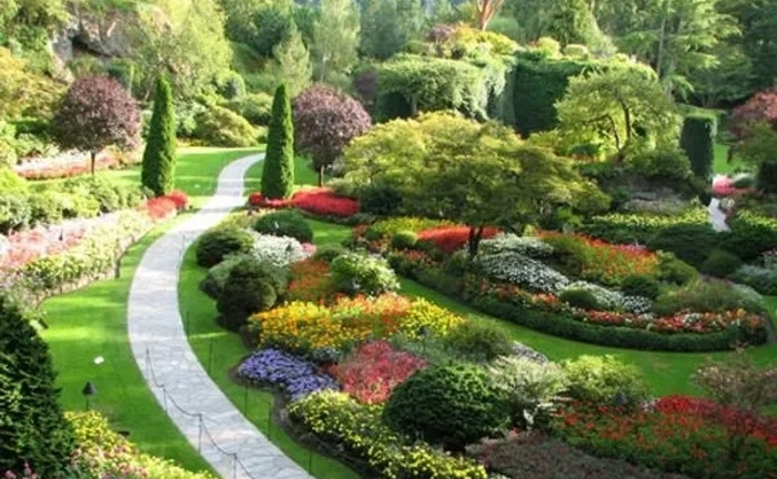 Аерація газону, стрижка туй, самшиту, інших рослин, ландшафтні роботи Аерація газону, стрижка туй, самшиту, інших рослин, ландшафтні роботи