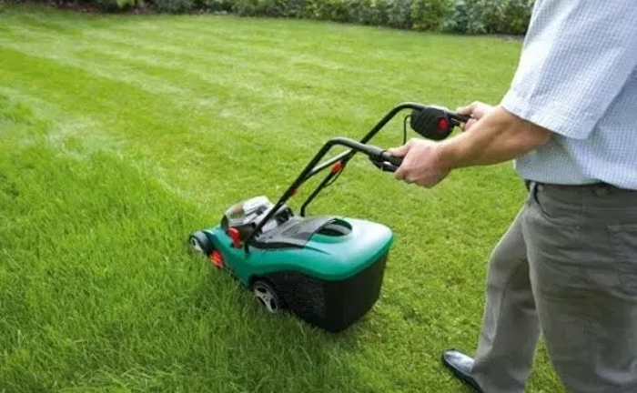 Садівник Газон Обрізка Обробка Озеленення ділянки Ландшафтний дизайн Садівник Газон Обрізка Обробка Озеленення ділянки Ландшафтний дизайн