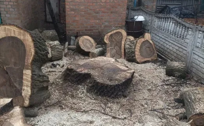 Розчищення ділянок \ ЗРІЗ СКЛАДНИХ АВАРІЙНИХ ДЕРЕВ Офіційно ФОП Розчищення ділянок \ ЗРІЗ СКЛАДНИХ АВАРІЙНИХ ДЕРЕВ Офіційно ФОП