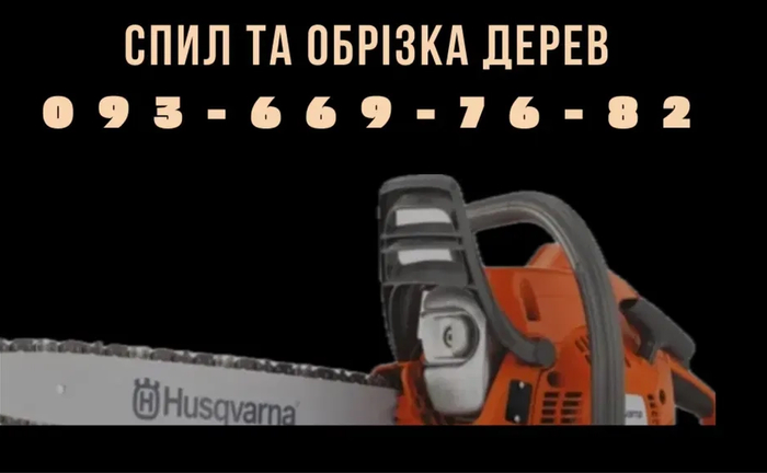 Професійне видалення дерев та аварійних гілок. Спил дерев.