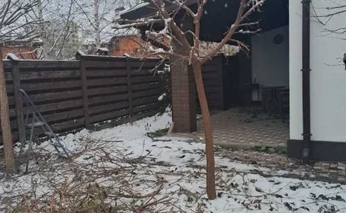 Спил, обрізка плодових, розпил дров Спил, обрізка плодових, розпил дров