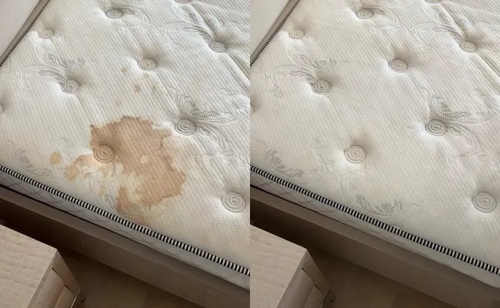 Хімчистка м'яких меблів Хімчистка м'яких меблів