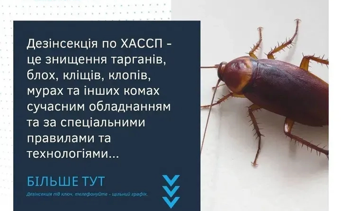 Професійне знищення шкідників таргани, клопи, миші, мурахи...