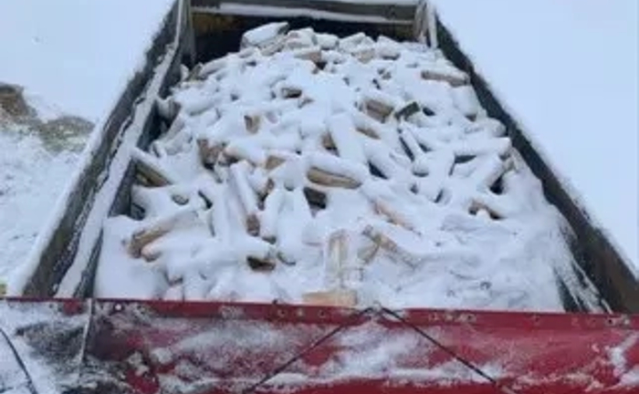 Доставимо дрова бук граб від 5 кубів до 20 кубів Доставимо дрова бук граб від 5 кубів до 20 кубів