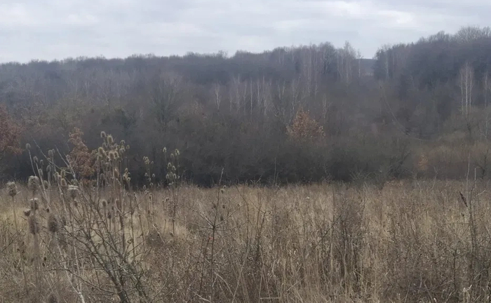 Ділянка - сільськогосподарська земля, с. Котюржинці.