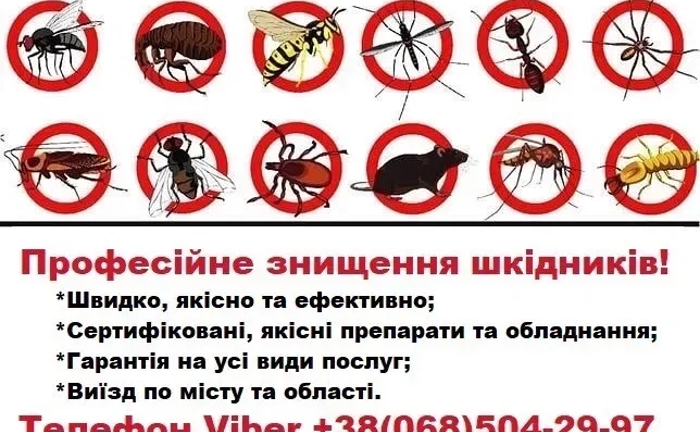 Дезінсекція, дезінфекція (таргани, клопи, блохи, кліщі, мурахи тощо)