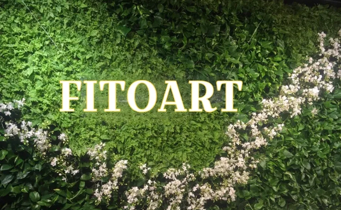 Фітостіна Вертикальне озеленення Фитостена Вертикальное озеленение