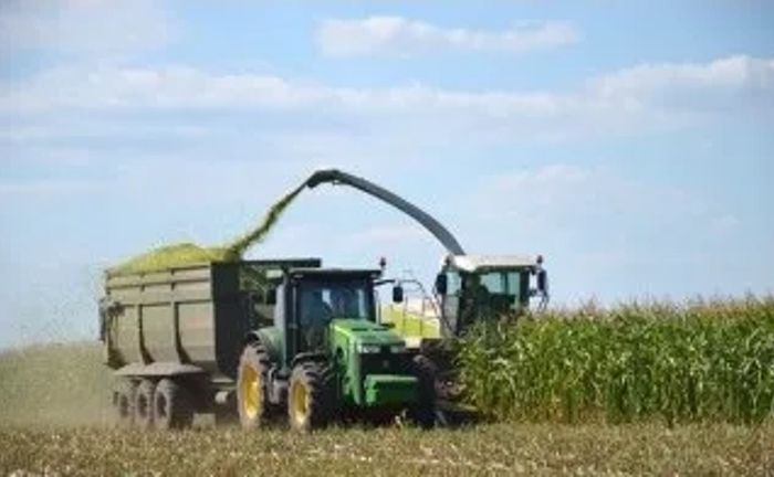 Комбайнайн Ягуар, прибирання силосу, кукурудзи на силос Комбайнайн Ягуар, прибирання силосу, кукурудзи на силос