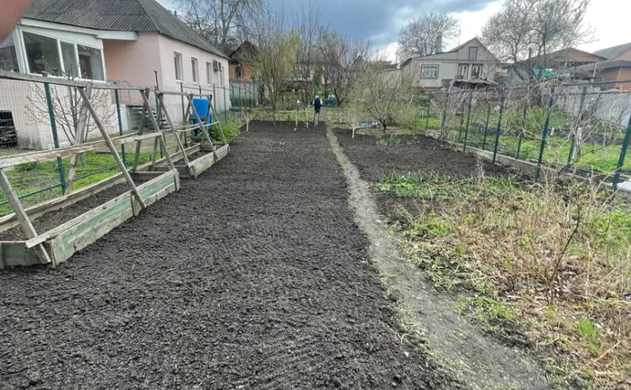 Спил Дерев, Покос, Чистка від Порослі та камишу, Вирівнювання ділянок Спил Дерев, Покос, Чистка від Порослі та камишу, Вирівнювання ділянок