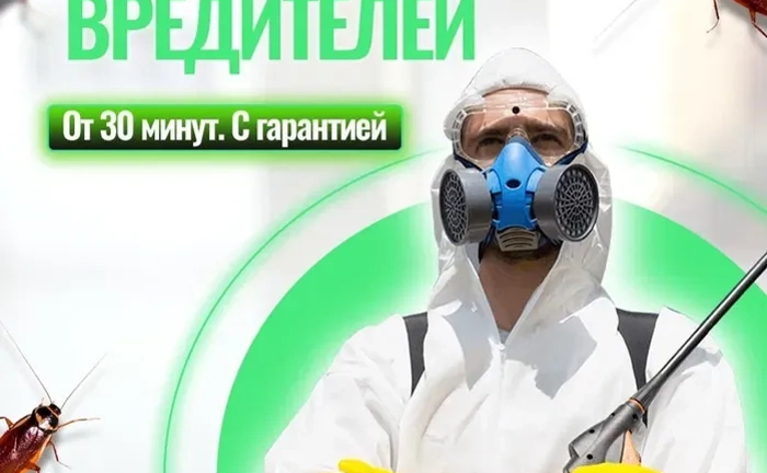 Дезинсекция дератизация. Травим тараканов шершней блох Дезинсекция дератизация. Травим тараканов шершней блох