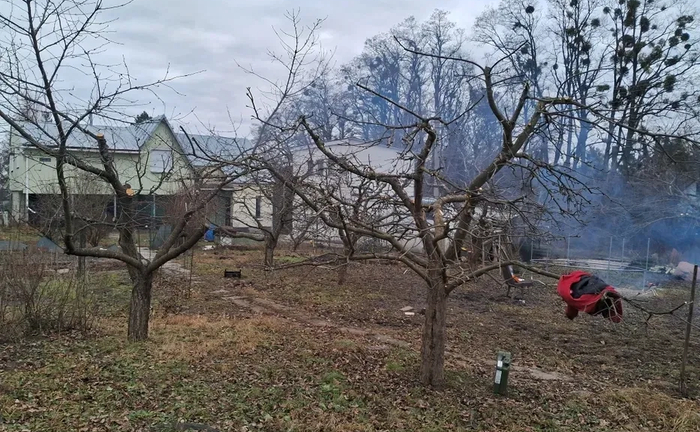 Спил та обрізка дерев , Покос трави,будь-якої складності Спил та обрізка дерев , Покос трави,будь-якої складності