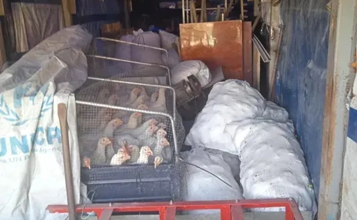 Услуги по перевозке грузов и организации переездов любой сложности!