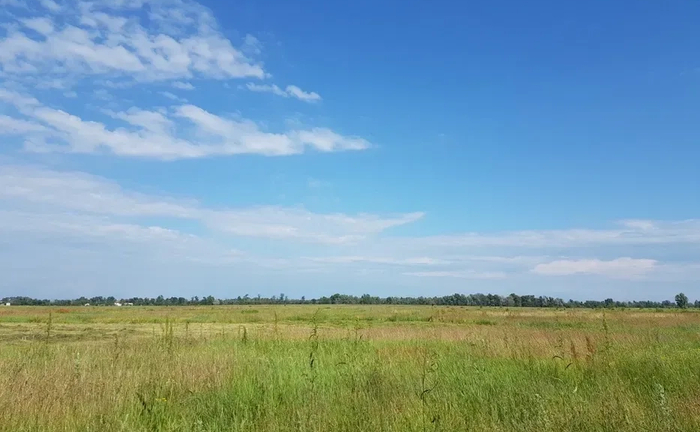 Земля, 2,15га, с.Вища Дубечня, під сад, овочі, теплиці, інше