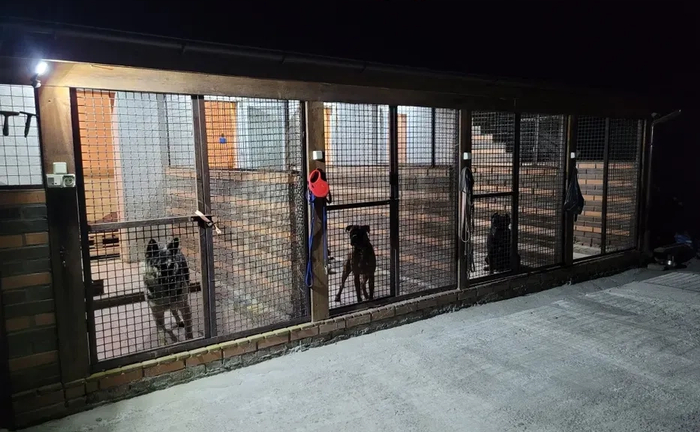 Готель для собак