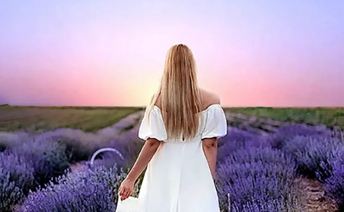 Фотосесія мрії в лавандовому полі