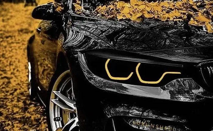 Надійний транспорт у Воловці: машина для будь-яких потреб