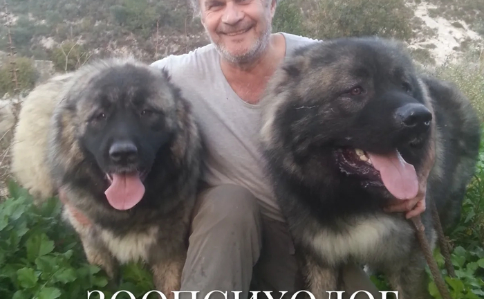 Кінолог. Зоопсихолог. Дресирування собак. Корекція поведінки. Онлайн.