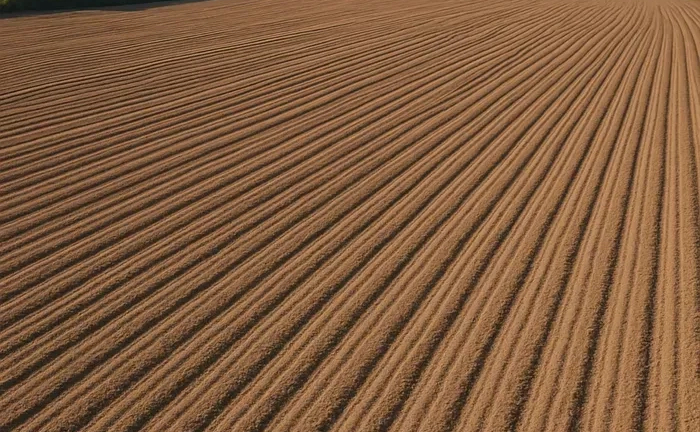 Земля сільськогосподарського призначення продискована 290 $ Земля сільськогосподарського призначення продискована 290 $