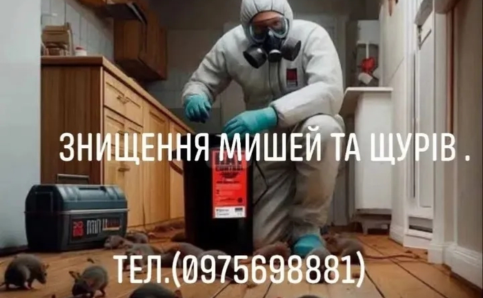 Дезінфекція та дезінсекція приміщення від тарганів бліх клопів. Дезінфекція та дезінсекція приміщення від тарганів бліх клопів.